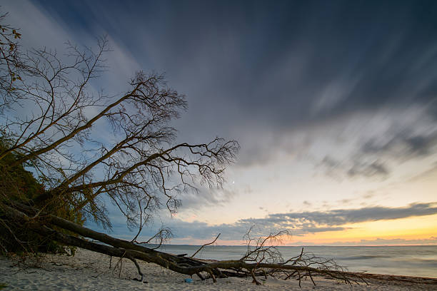 Evening sunset over a large lake with a wave and a high snow-covered coast with a cliff and pine trees. Beautiful winter landscape. Picturesque wide-angle side view from the shore in 16x9 format