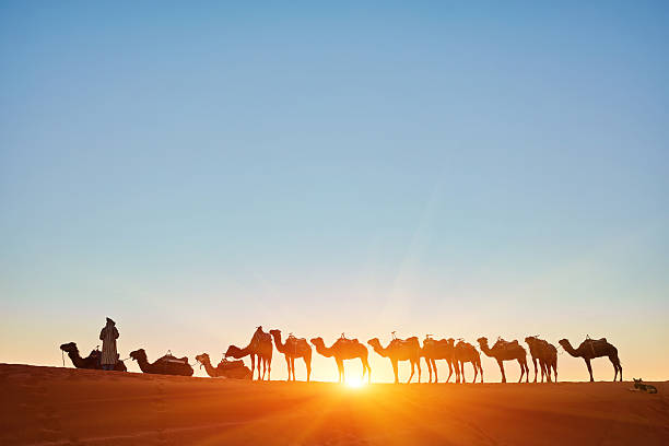 istock Camel caravan going through the sand dunes in the Sahara Desert 2251335620