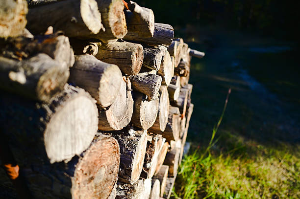 Background with stacked firewood