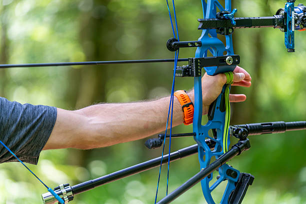 Professional archer in a sunlit forest holding a sleek bow, ready to release an arrow with focused determination. The vibrant natural backdrop adds to the intensity of the moment as the archer's concentration is evident.