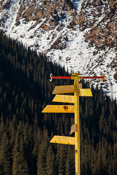Snow Covered Empty Orange Direction Sign Guiding the Path in the Snow