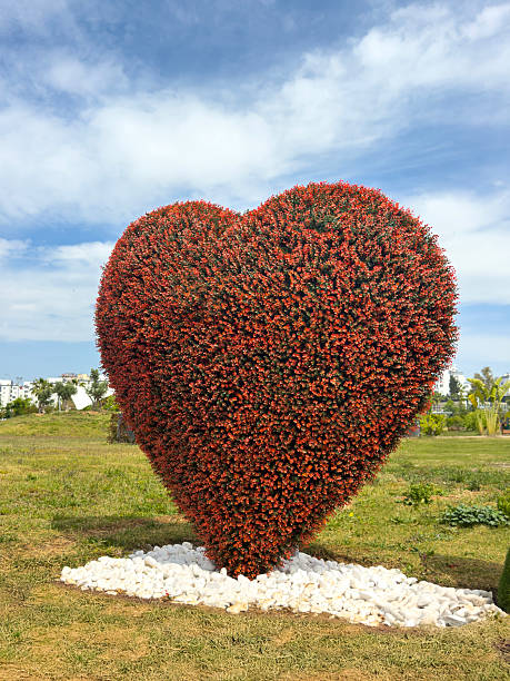 Floral heart shape decoration in a public park