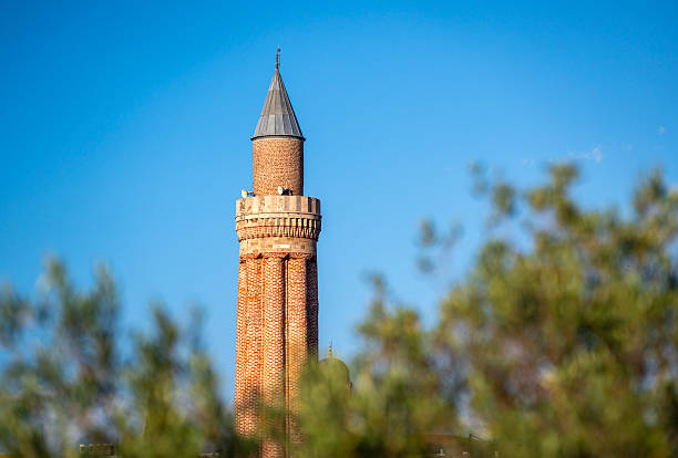 Lower view of Antalya Yivli Minare (Fluted Minaret) with trees
