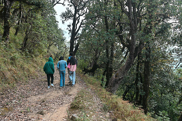 istock Children Hiking Through Forest Trail with Their Naturalist Guide 2251347313