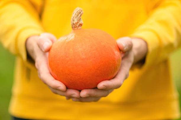 istock Male farmer holding ripe pumpkin 2251351296