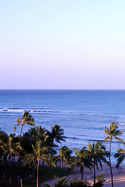 istock Waikiki Beach Honolulu Hawaii 2251351825