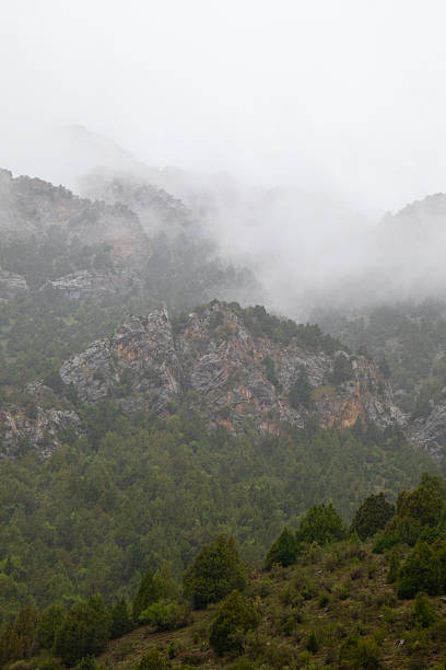 istock Misty mountain slope covered in green forest and rocky cliffs 2251357121