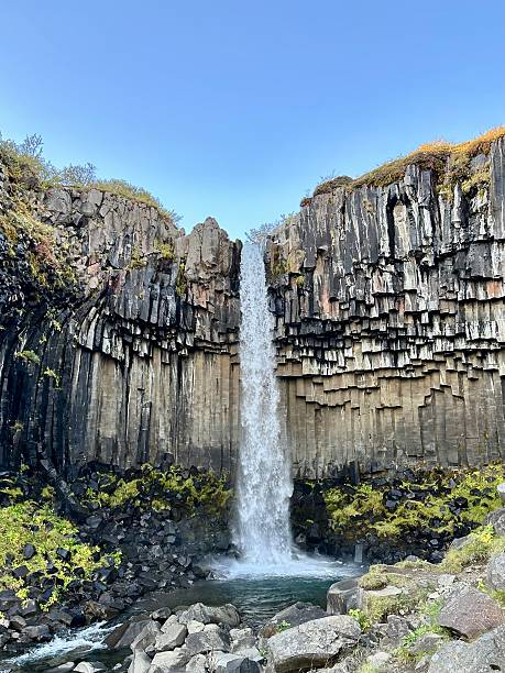 Svartifoss Waterfall in Iceland