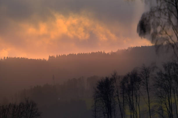 On the Rennsteig trail in the Thuringian Forest
