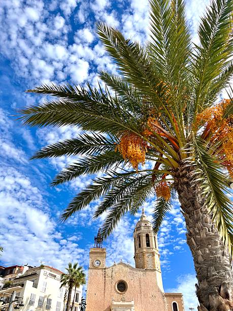 istock Palm tree framing Church of Sant Bartomeu in Sitges during summer 2251374000