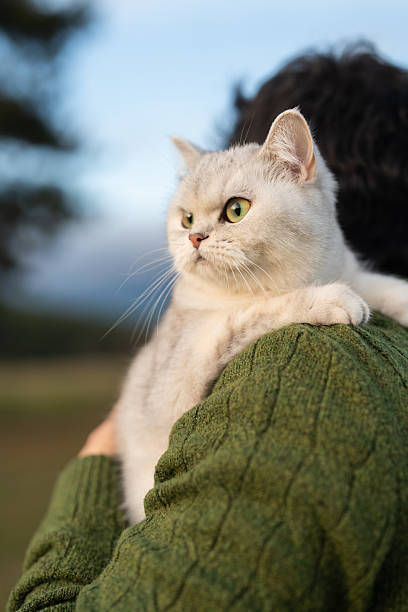 A person carrying a light-colored cat on their shoulder in an open natural setting.