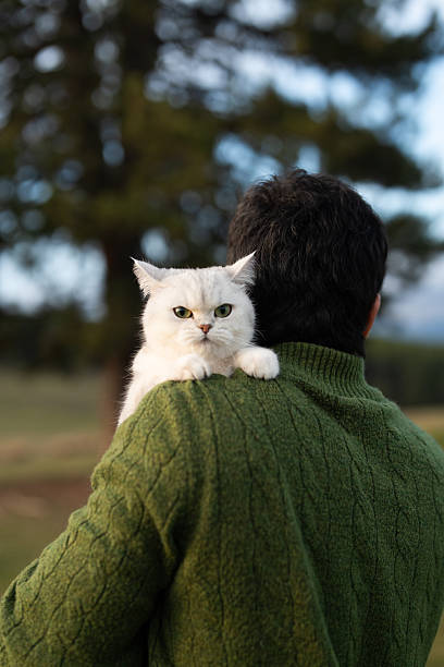 istock Cozy Outdoor Moment Featuring a Cat and Its Owner 2251374352