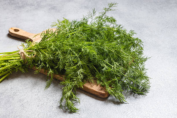 istock Fresh Dill Bunch on Round Wooden Board 2251377197