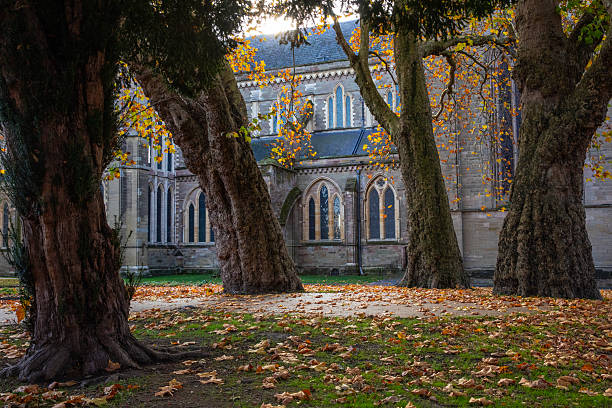 A beautiful Autumnal view of the exterior of Worcester Cathedral in Worcestershire, UK.