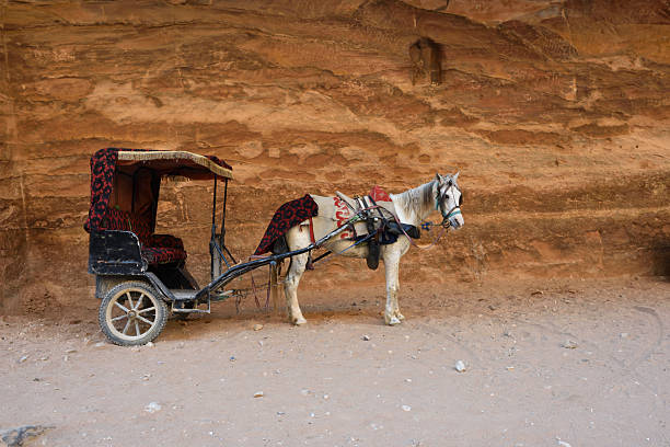Horse carriage in Siq canyon in Petra, lost city in Jordan. Famous UNESCO heritage site