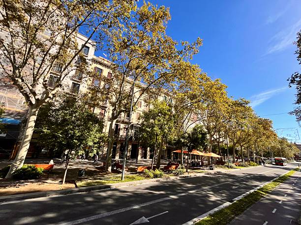 Urban street scene along Passeig de Sant Joan in Barcelona, Spain, featuring architectural buildings, vibrant green and yellow trees, a clear blue sky, and people relaxing outdoors