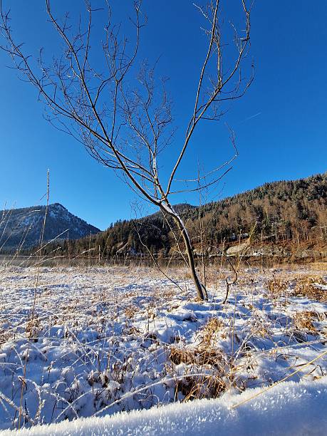 istock snowtime in Bavaria 2251383551