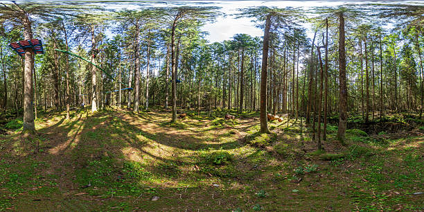 istock MINSK, BELARUS - 2021: full spherical hdri panorama 360 degrees angle view in jungle park in the children's entertainment center in pinery forest in equirectangular projection. VR content 2251383804