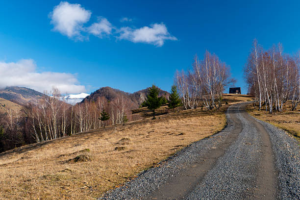 A picturesque landscape capturing a winding dirt road ascending a sunlit hill, bordered by elegant white-barked birch trees. The scene is set in the rural area of Sângeorz-Băi, Bistrița-Năsăud County, in Transylvania, Romania. Low-hanging clouds and fog partially shroud the forested Carpathian Mountains in the background, creating a mood of solitude, travel, and natural beauty. This photograph is ideal for themes relating to road trips, remote destinations, the changing seasons, and the unspoiled nature of Eastern Europe.