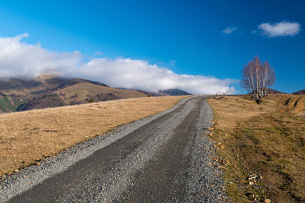 A picturesque landscape capturing a winding dirt road ascending a sunlit hill, bordered by elegant white-barked birch trees. The scene is set in the rural area of Sângeorz-Băi, Bistrița-Năsăud County, in Transylvania, Romania. Low-hanging clouds and fog partially shroud the forested Carpathian Mountains in the background, creating a mood of solitude, travel, and natural beauty. This photograph is ideal for themes relating to road trips, remote destinations, the changing seasons, and the unspoiled nature of Eastern Europe.
