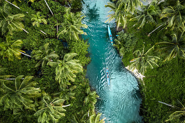 istock Maasin River, Siargao, Philippines, drone photo 2251389892