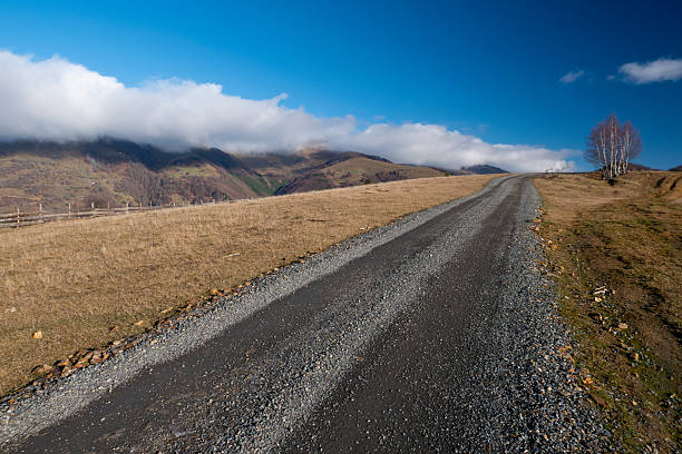 A picturesque landscape capturing a winding dirt road ascending a sunlit hill, bordered by elegant white-barked birch trees. The scene is set in the rural area of Sângeorz-Băi, Bistrița-Năsăud County, in Transylvania, Romania. Low-hanging clouds and fog partially shroud the forested Carpathian Mountains in the background, creating a mood of solitude, travel, and natural beauty. This photograph is ideal for themes relating to road trips, remote destinations, the changing seasons, and the unspoiled nature of Eastern Europe.