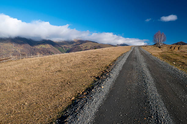 A picturesque landscape capturing a winding dirt road ascending a sunlit hill, bordered by elegant white-barked birch trees. The scene is set in the rural area of Sângeorz-Băi, Bistrița-Năsăud County, in Transylvania, Romania. Low-hanging clouds and fog partially shroud the forested Carpathian Mountains in the background, creating a mood of solitude, travel, and natural beauty. This photograph is ideal for themes relating to road trips, remote destinations, the changing seasons, and the unspoiled nature of Eastern Europe.