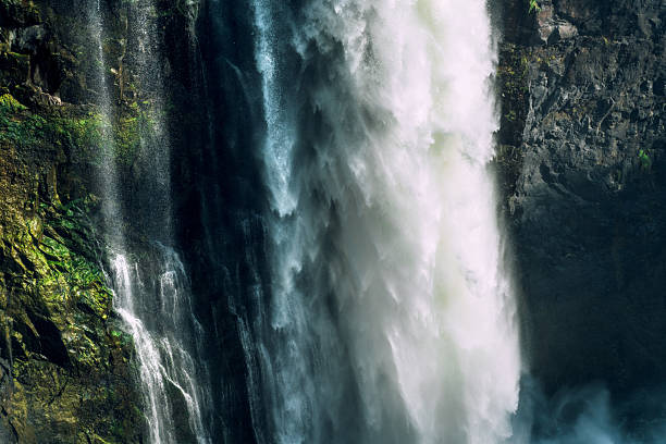 A powerful waterfall plunges from a rocky cliff, creating mist across a lush canyon. This iconic Southern Africa scene captures nature's force and majestic scenery along the Zambezi River.