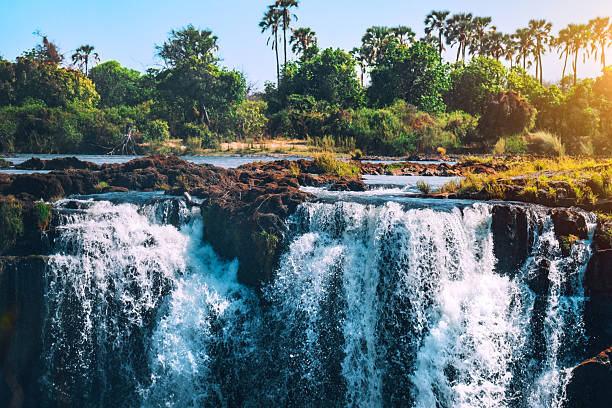 Lush riverbank and powerful waterfall create a dramatic tropical scene near Victoria Falls along the Zambezi River, showcasing lush greenery, mist, and golden sunlight on a bright day.