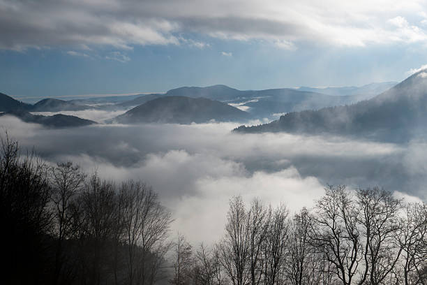 A picturesque landscape capturing a winding dirt road ascending a sunlit hill, bordered by elegant white-barked birch trees. The scene is set in the rural area of Sângeorz-Băi, Bistrița-Năsăud County, in Transylvania, Romania. Low-hanging clouds and fog partially shroud the forested Carpathian Mountains in the background, creating a mood of solitude, travel, and natural beauty. This photograph is ideal for themes relating to road trips, remote destinations, the changing seasons, and the unspoiled nature of Eastern Europe.