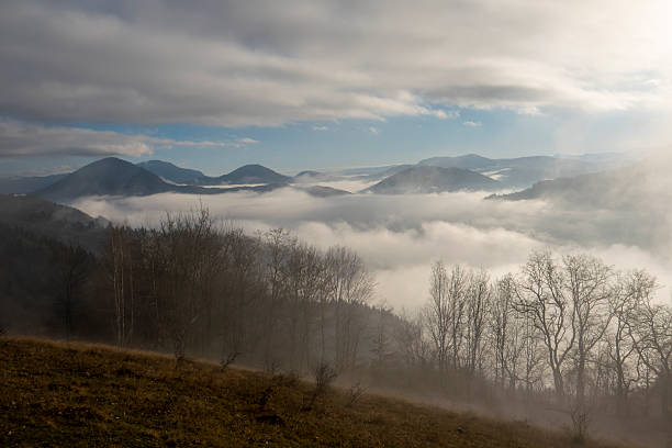 A picturesque landscape capturing a winding dirt road ascending a sunlit hill, bordered by elegant white-barked birch trees. The scene is set in the rural area of Sângeorz-Băi, Bistrița-Năsăud County, in Transylvania, Romania. Low-hanging clouds and fog partially shroud the forested Carpathian Mountains in the background, creating a mood of solitude, travel, and natural beauty. This photograph is ideal for themes relating to road trips, remote destinations, the changing seasons, and the unspoiled nature of Eastern Europe.