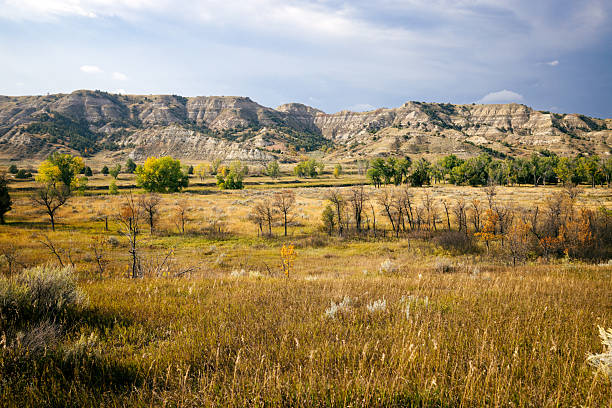 The dramatic rocky terrain of the Badlands, erosion formed hills, buttes, and canyons with vibrant color and wildlife.