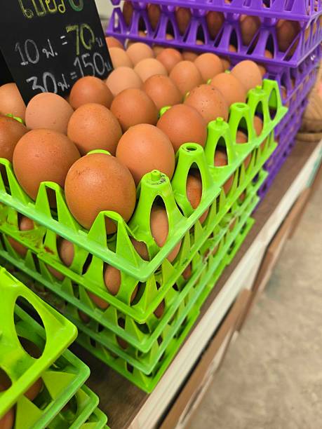istock Fresh Brown Eggs Displayed in Colorful Plastic Crates at Market 2251398269