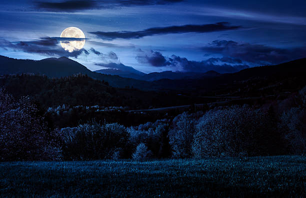 istock forested hills in spring at night. beautiful scenery in mountains in full moon light 2251398552