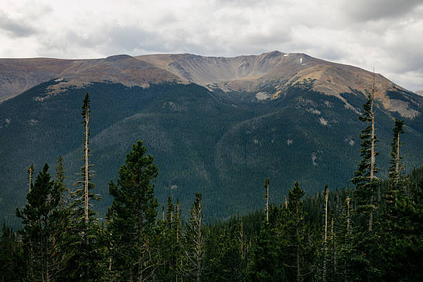 An overcast day adds extra character to the mountain view while going over Berthoud Pass in Colorado, USA.  Evergreens contrast bare mountain rock.