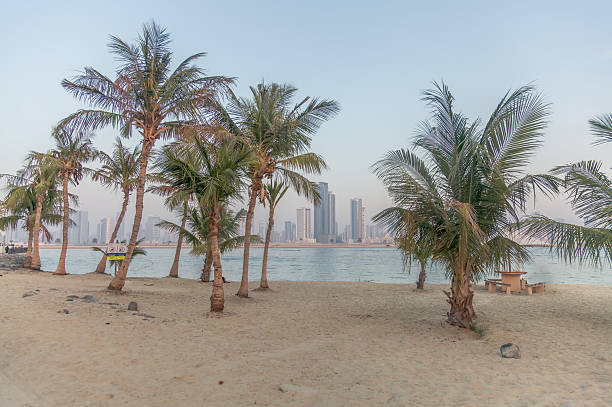 istock Sandy Beach Park With Palm Trees And Soft Pink Sunset Creating Humid Tropical Coastal Atmosphere In Dubai, UAE 2251413107