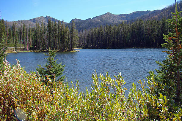 istock Forest-Lined Lake in Yellowstone National Park 2251423140