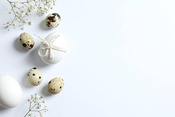 istock Happy Easter. Flowers with eggs on white background, space for text or advertising 2251425596