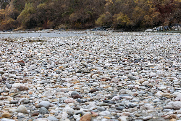 Riverbed filled with smooth pebbles and stones, bordered by colorful autumn trees, creating a peaceful atmosphere with flowing water nearby
