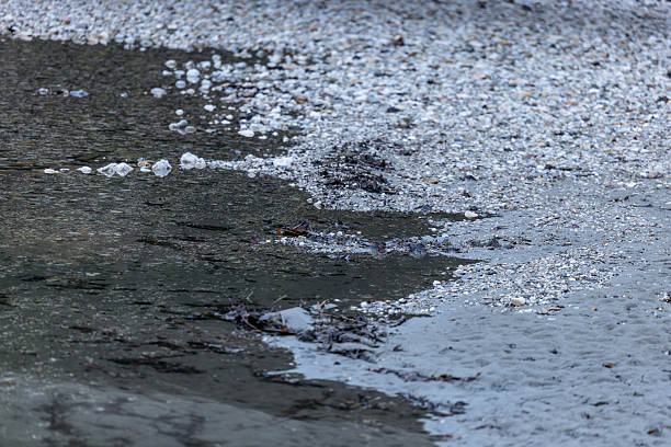 istock Calm water surface reflecting light, with pebbles and seaweed along the shoreline, creating a serene natural environment with tranquil ambiance and peaceful scenery 2251428765
