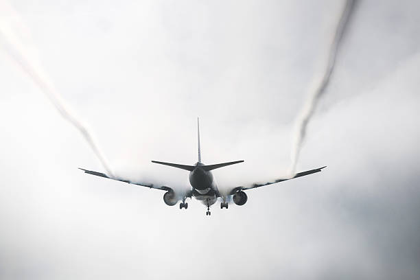 Landing airplane at dusk - black and white, low-angle view