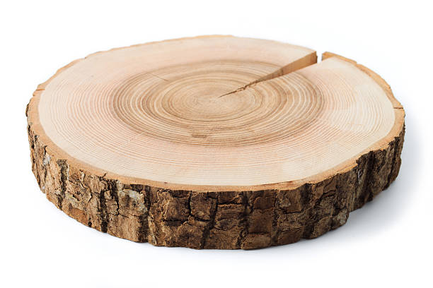istock Wood slice with visible rings placed on a white background for display or use in art projects. 2251432171