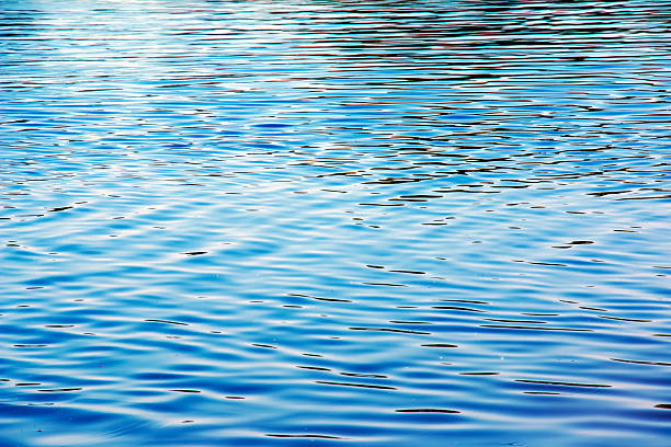 istock Water ripple texture background. Wavy water surface during sunset, golden light reflecting in the water 2251433995