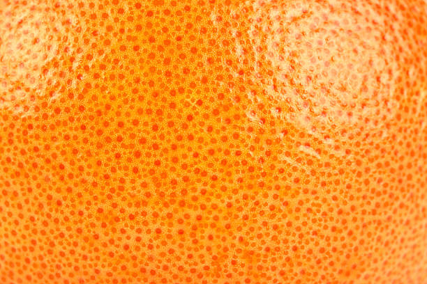 Grapefruit peel texture. Macro grapefruit texture as a background. Skincare, pores, acne, and natural skincare.