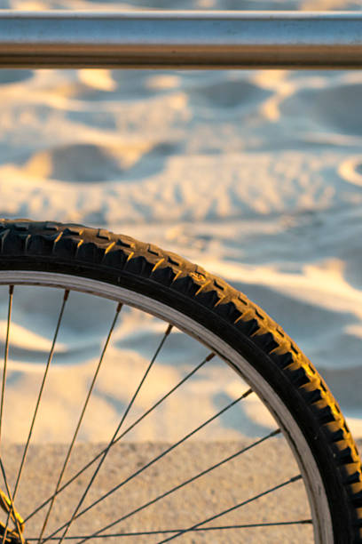 Mountain bike tire detail at sunset