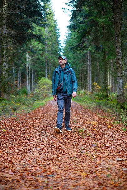 istock Man walking along forest path covered with autumn leaves 2251439121