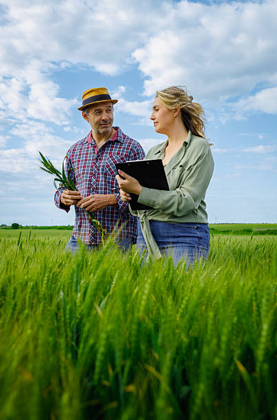 istock Two farmers standing in wheat field examining crop yield. 2251440784