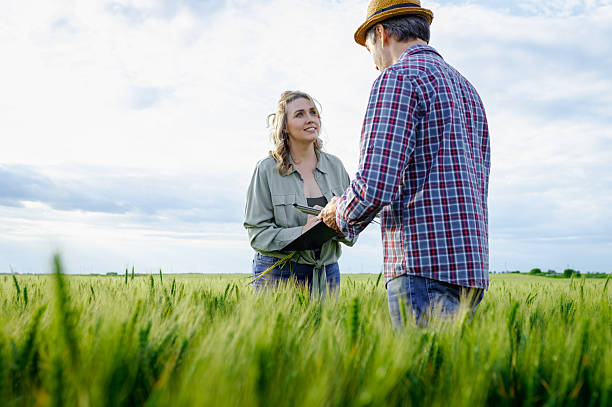 istock Two farmers standing in wheat field examining crop yield. 2251440868