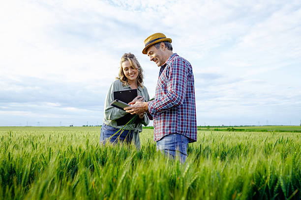 istock Two farmers standing in wheat field examining crop yield. 2251440874