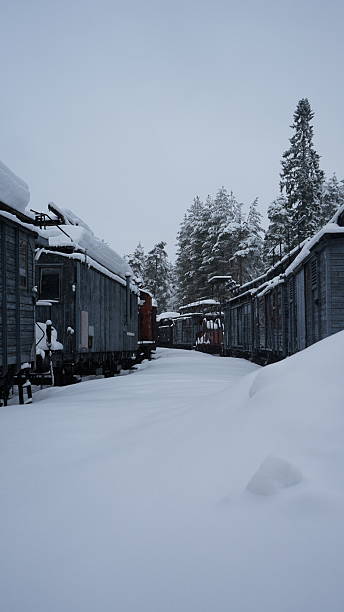 istock Vintage trains wagons in winter 2251443471